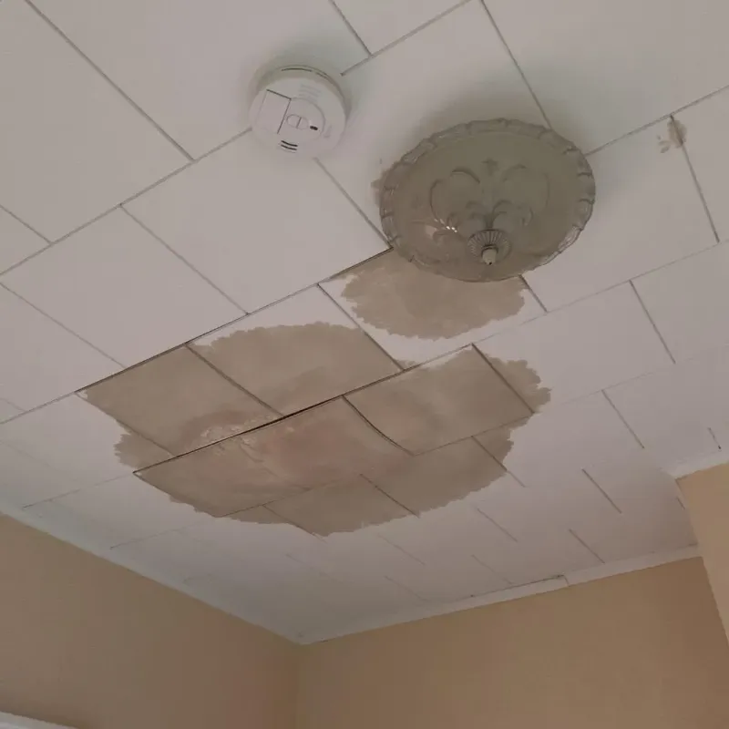 Ceiling Water Damage Repair in Luverne, MN