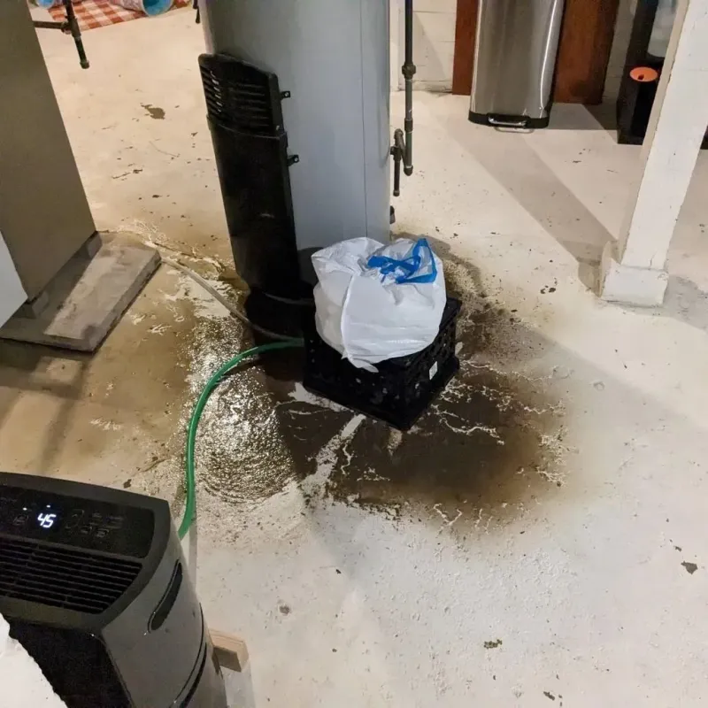 Sewage Backup Cleanup Service in Luverne, MN